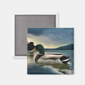 Mallard Duck on The Lake Magnet (Vorderseite/Rückseite)
