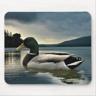 Mallard Duck on The Lake Mousepad