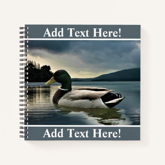 Mallard Duck on The Lake Notizblock (Vorderseite)