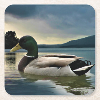 Mallard Duck on The Lake Rechteckiger Pappuntersetzer