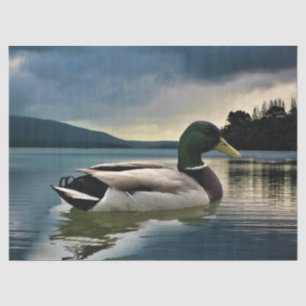 Mallard Duck on The Lake Seidenpapier
