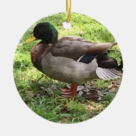 Mallard Duck Ornament (Vorne)