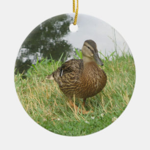 Mallard Duck Ornament