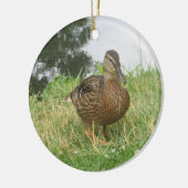 Mallard Duck Ornament (Links)