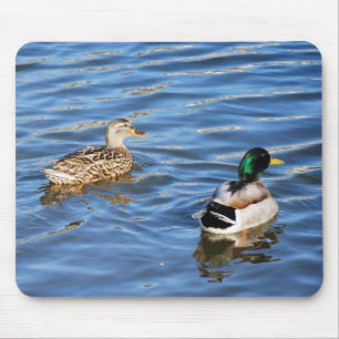 Mallard Duck Pairs symbolisieren Liebe und Engagem Mousepad