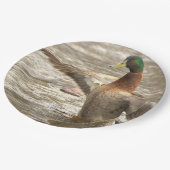 Mallard Duck Paper Plates Pappteller (Schrägansicht)