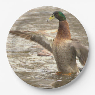 Mallard Duck Paper Plates Pappteller