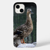 Mallard Duck Phone Case (Rückseite)