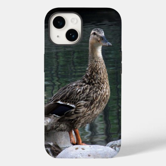 Mallard Duck Phone Case (Rückseite)