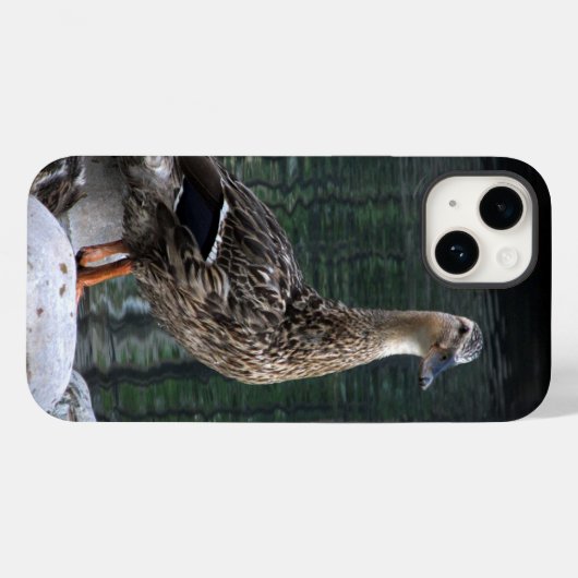 Mallard Duck Phone Case (Rückseite (Horizontal))