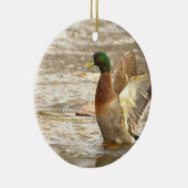 Mallard Duck Photo Ornament (Rechts)