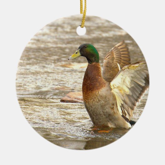 Mallard Duck Photo Ornament (Vorne)