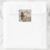 Mallard Duck Photo Stickers (Tasche)