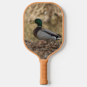 Mallard Duck Pickleball Paddle (Vorderseite)
