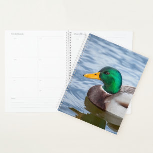Mallard Duck Planer
