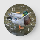 Mallard Duck Portrait Runde Wanduhr (Vorderseite)