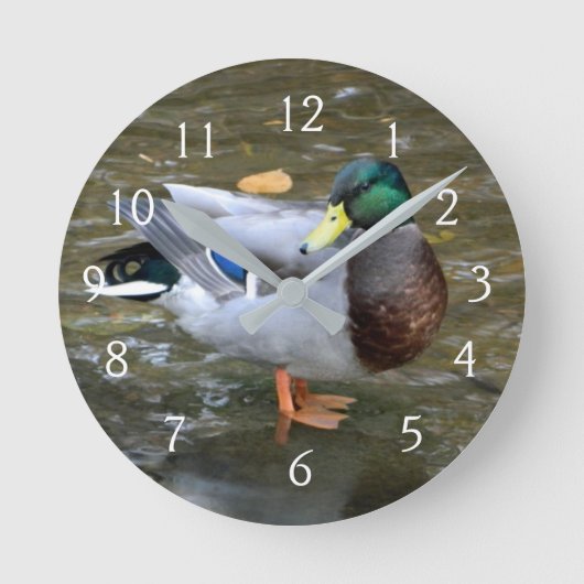 Mallard Duck Portrait Runde Wanduhr (Vorderseite)