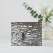 Mallard Duck Postcard Postkarte (Stehend Vorderseite)