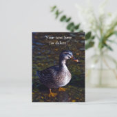 Mallard Duck Postcard Postkarte (Stehend Vorderseite)