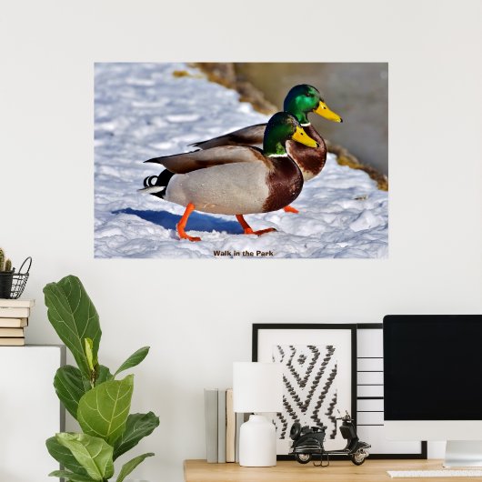 Mallard Duck Poster (Heimbüro)