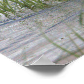 Mallard Duck Poster (Ecke)