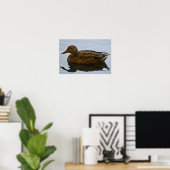 Mallard Duck Poster (Heimbüro)