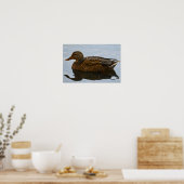 Mallard Duck Poster (Küche)