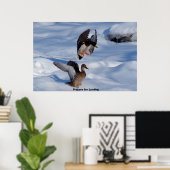 Mallard Duck Poster (Heimbüro)