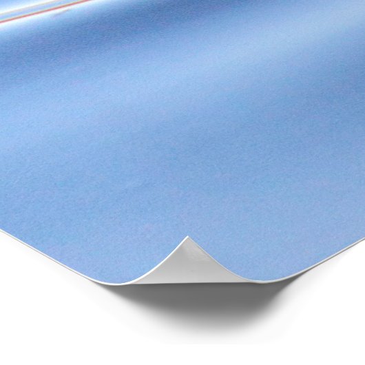 Mallard Duck Poster (Ecke)