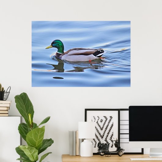 Mallard Duck Poster (Heimbüro)
