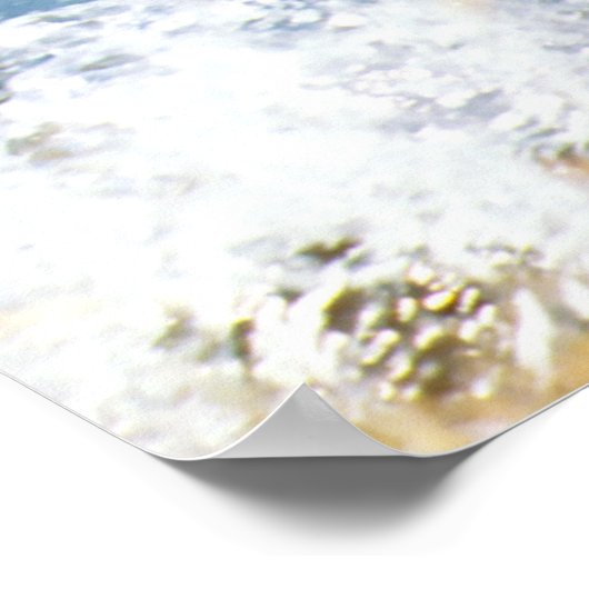 Mallard Duck Poster (Ecke)