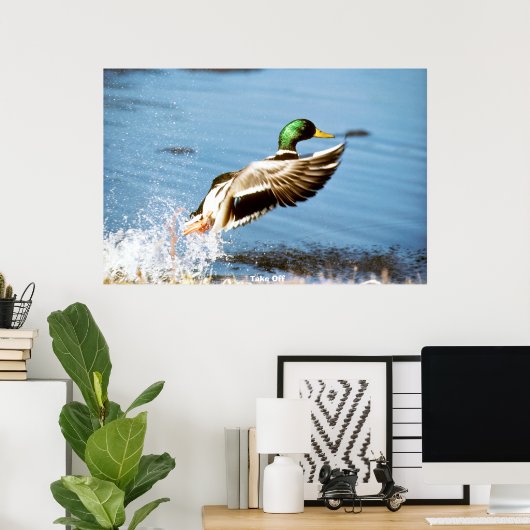 Mallard Duck Poster (Heimbüro)