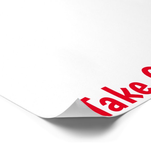 Mallard Duck Poster (Ecke)