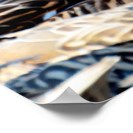 Mallard Duck Poster (Ecke)