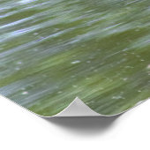 Mallard Duck Poster (Ecke)