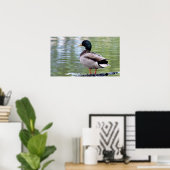 Mallard Duck Poster (Heimbüro)
