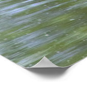 Mallard Duck Poster (Ecke)