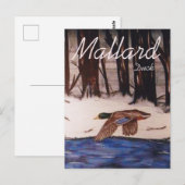 Mallard Duck Postkarte (Vorne/Hinten)