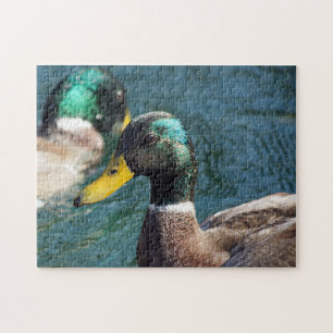 Mallard Duck Puzzle
