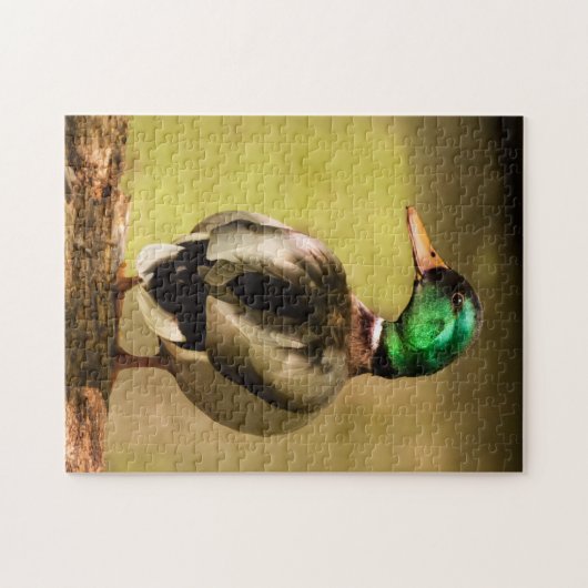 Mallard Duck Puzzle (Horizontal)