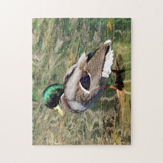 Mallard Duck Puzzle (Vertikal)