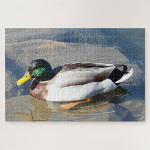 Mallard Duck Puzzle