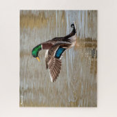 Mallard Duck Puzzle (Vertikal)