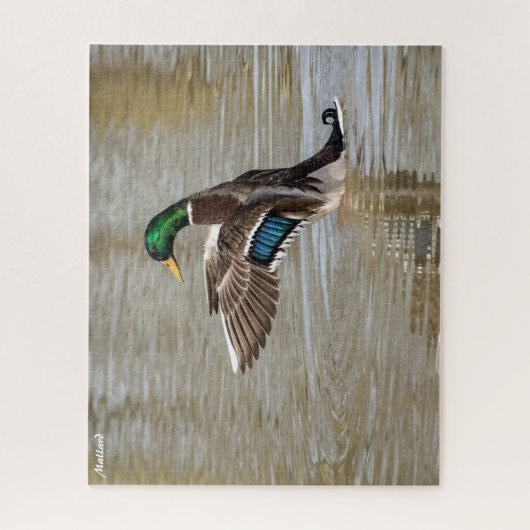 Mallard Duck Puzzle (Vertikal)
