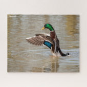 Mallard Duck Puzzle (Horizontal)