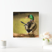 Mallard Duck Quadratische Wanduhr (Zuhause)