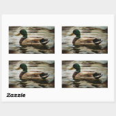 Mallard Duck Rechteckiger Aufkleber (Blatt)