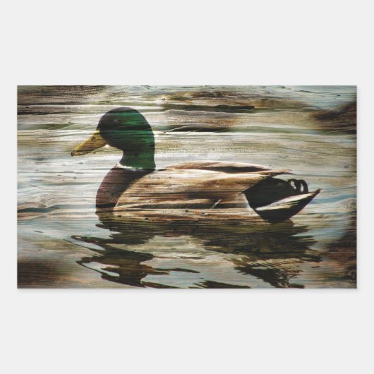 Mallard Duck Rechteckiger Aufkleber (Vorderseite)