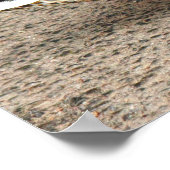 Mallard Duck. Roath Park Lake, Cardiff, Wales Poster (Ecke)