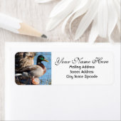 Mallard Duck Rücksendeadresse (Insitu)